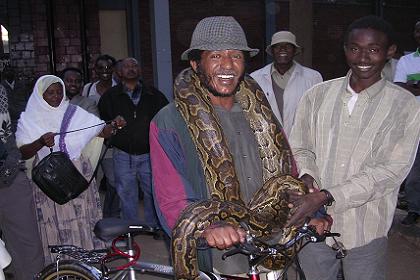 Tamed snake - Expo area Asmara Eritrea.