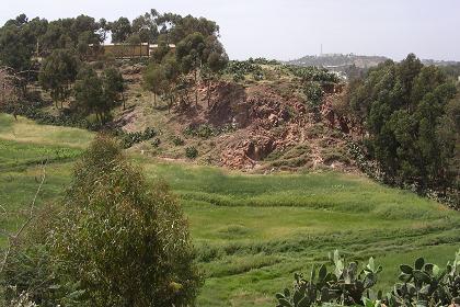 View from the plateau - Haz Haz Asmara Eritrea.