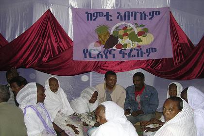 Family gathered at the wedding ceremony - Mai Temenai Asmara Eritrea.