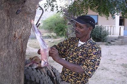 Afworki slaughtering the goat - Keren Eritrea.