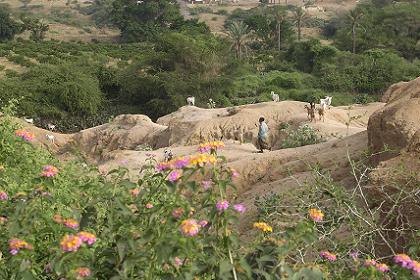 The landscape around Keren Eritrea (on my way to Mariam Dearit).