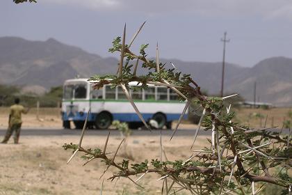 Asmara fire brigade ending the lighting of the damera - Asmara Eritrea.