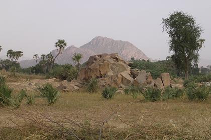 The landscape around Agordat (on my way to the Barka river).