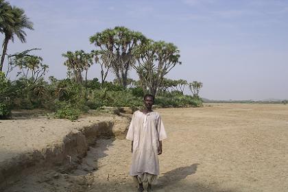 Walking through the dry river bed of the Barka river - Agordat Eritrea.