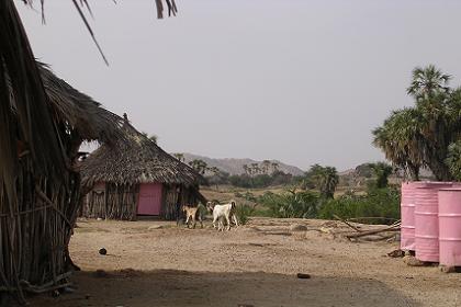 Small village on bank of the Barka river - Agordat Eritrea.