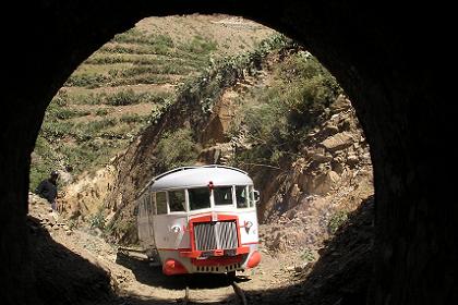 Littorina entering one of the many tunnels.