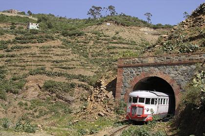 Littorina passing one of the many tunnels.