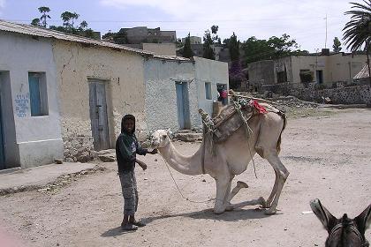 Street scene - Segeneyti Eritrea.