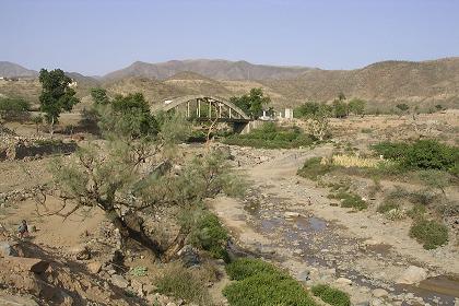 Landscape - Ghinda Eritrea.