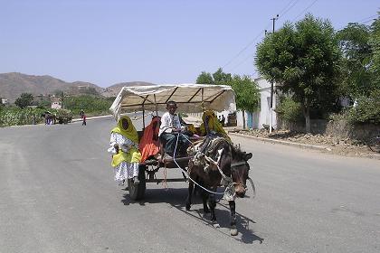 Local transport - Ghinda Eritrea.