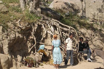 Women selling beles (cactus fruits) - Adi Teclezan Eritrea.