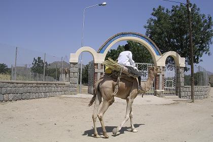 Entrance to the compound of Mariam Dearit - Keren Eritrea.