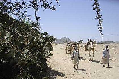 Landscape - Keren Eritrea.