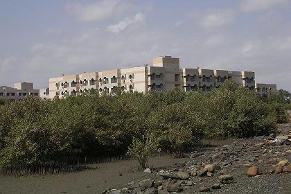 Mangroves & Massawa Housing Complex - Massawa Eritrea.