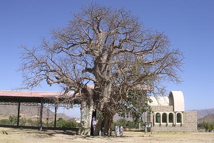 Shrine of Mariam Dearit - Keren Eritrea.