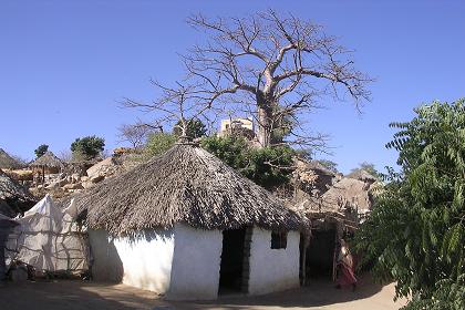 Traditional village - Barentu Eritrea.