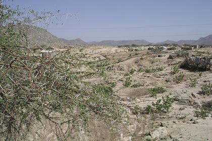 Landscape - just outside Keren on the road to Agordat.