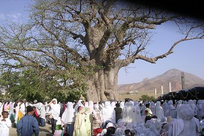 Festival of Mariam Dearit - Keren Eritrea.