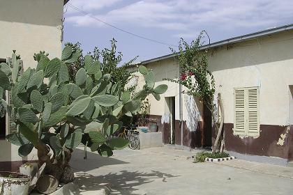 Court of the Sicilia Pension, a cozy budget hotel - Keren Eritrea.