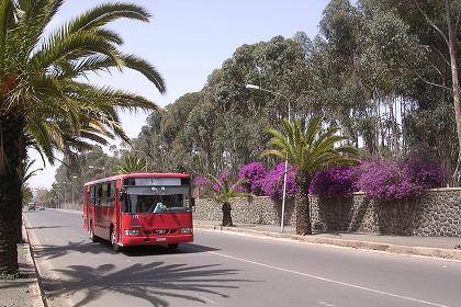 Warsay street, Expo area - Asmara Eritrea.