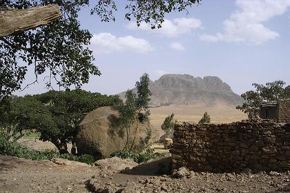 Surroundings of the Senafe oak tree - Senafe Eritrea.