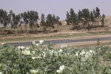 Water reservoir - Emba Derho Eritrea.