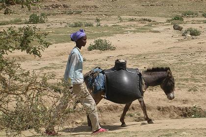 Carrying water to the village - Emba Derho Eritrea.