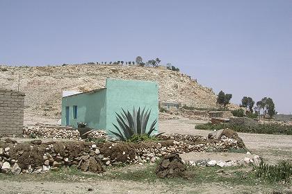 Local scenery - Tsa' Edakristyan (just outside Asmara).