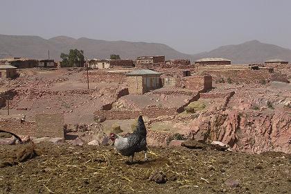 Local scenery - Himbirti Eritrea.