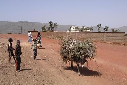 Local scenery - Himbirti Eritrea.