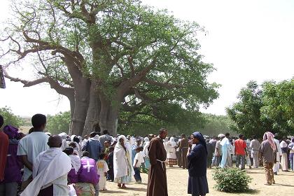 Festival of Mariam Dearit - Keren Eritrea.