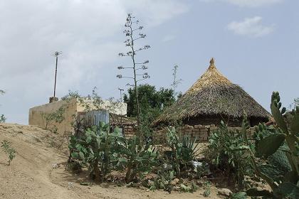 Traditional dwelling - Elabered Eritrea.