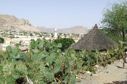 Local scenery - Keren Eritrea.