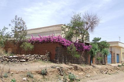 Aderba street - Mai Chehot Asmara Eritrea.