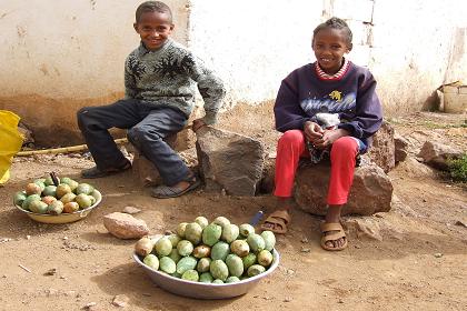 Children selling beles (cactus fruits) - Sembel Asmara Eritrea.