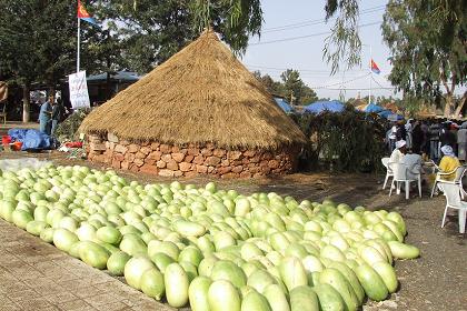 Water-melons for sale - Festival Eritrea 2006 - Asmara Eritrea.