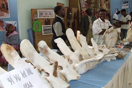 Expo exhibition hall - Festival Eritrea 2006 - Asmara Eritrea.