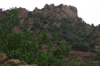 The cliffs on top of mount Bizen (and two kilometers to go).