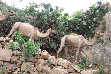 Three camels coming down - Mount Bizen Eritrea.