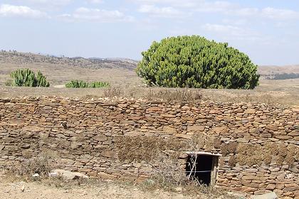 Traditional houses - Adi Nefas Eritrea.