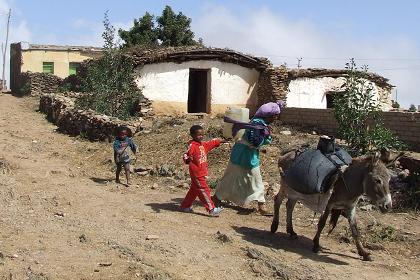 Collecting water from the water reservoir - Adi Nefas Eritrea.