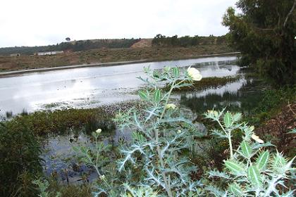 Water reservoir - Acria Asmara Eritrea.