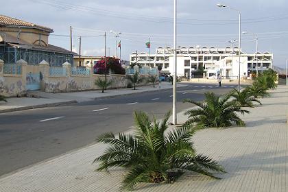 Palm tree lined road - Keren Eritrea.