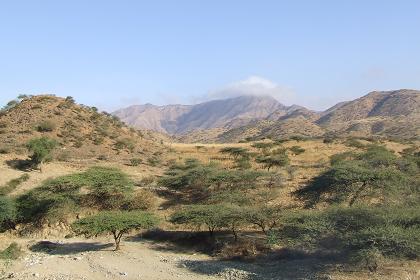 Landscape - road from Afabet to Keren.