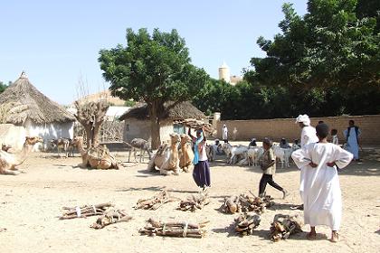 Small scale trade - Hagaz Eritrea.