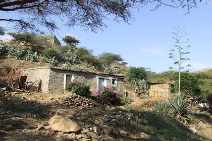 Landscape - Mai Habar Eritrea.