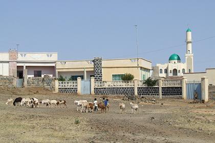 Streetscape - Debarwa Eritrea.