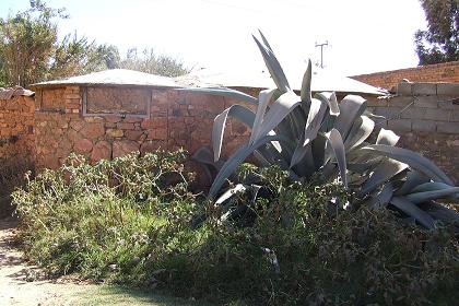 Agdo ('modern' traditional house) - Acria Asmara Eritrea.