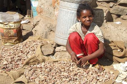 Workshop worker - Medeber markets Asmara Eritrea.