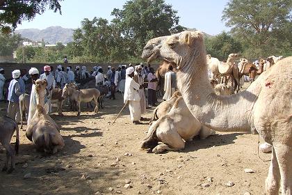 Monday market - Keren Eritrea.